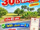 - ขายถูกๆร้อนเงิน #ที่ดินคลอง12 รังสิต ปทุมธานี 30 ไร่ ไร่ละ 690,000.-บาท เท่านั้น(ติดถนน)