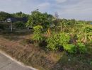 - ขายที่ดินเปล่า 177 ตร.ว. ต.เหนือคลอง จ.กระบี่