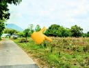 - ที่ดินเปล่า กลางเนินสวย ไม่มีน้ำท่วม อ.ทองแสนขัน อุตรดิตถ์