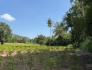  - ที่ดินทำเลศักยภาพ หนองขาม ศรีราชา ใกล้ 331 เหมาะสร้างบ้าน/ลงทุน