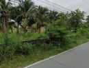 - ขายที่ดิน เนื้อที่ 18-3-86 ไร่ ต.หนองซ้ำซาก อ.บ้านบึง จ.ชลบุรี เข้าซอยจากถนนชลบุรี-บ้านบึง (344) เพียง 250 เมตร