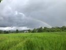 - ขายที่ดินแปลงสวยผืนใหญ่ 26-3-47 ไร่ ต.ดอยเต่า อ.ดอยเต่า จ.เชียงใหม่