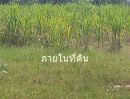  - ขายที่ดิน 55 ไร่เศษ ต.ชนวน อ.หนองนาคำ ขอนแก่น ไร่ละ 6 หมื่น