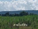  - ขายที่ดิน 55 ไร่เศษ ต.ชนวน อ.หนองนาคำ ขอนแก่น ไร่ละ 6 หมื่น