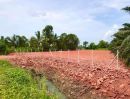  - ขายที่ดินบางไทร เนื้อที่ 2 ไร่ 353 ตรว. ขายยกแปลง 6.5 ล้านบาท ที่ดินถมแล้ว มีบ้าน 1 หลังใกล้สี่แยกบางใบไม้