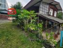 - ที่ดินเปล่า ซอยเสนานิคม 1 ซอย 25 แยก 6 (ซอยลาดปลาเค้า 24) เนื้อที่ 61 ตรว. แขวงจรเข้ เขตลาดพร้าว