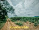 - ขายที่ดิน 21 ไร่ 3 งาน ทำเลติดถนนใหญ่ 4 เลน เดินทางสะดวก ใกล้พื้นที่ของ CPF และโซนอำเภอชุมแพ ราคาเพียง 43,000,000 บาทเท่านั้น