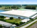 - โรงงานสเป็กพิเศษและราคาดีงาม เกือบ 6 ไร่ 5,500 ตร.ม. วางเครื่องจักรและสินค้าได้สบายด้วยพื้น 5 ตัน/ตร.ม. สูงมากถึง 19 เมตร พร้อมเสารับเครน KK6659S