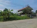 - ขายที่ดินเปล่า 251 ตร.ว ทำเลปัง ใกล้สำนักงานเทศบาลเมืองคูคต ต.คูคต อ.ลำลูกกา จ.ปทุมธานี