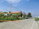 - ขายที่ดินเปล่า 251 ตร.ว ทำเลปัง ใกล้สำนักงานเทศบาลเมืองคูคต ต.คูคต อ.ลำลูกกา จ.ปทุมธานี