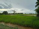 - ขายที่ดินบ้านกุดกว้าง 6 ไร่ หลังบขส.3ขอนแก่น ใกล้ถนนเลี่ยงเมือง230-3กม. อ.เมืองขอนแก่น