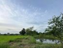 - ขายที่ดินบ้านกุดกว้าง เมืองเก่า 6 ไร่ ใกล้ถนนเส้นมิตรภาพ2-3กม. อ.เมืองขอนแก่น