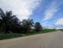 - ขายที่ดิน 20-3-65ไร่ สีม่วงลาย หนองใหญ่ ชลบุรี ติดนิคมเอเชียคลีน Asia Clean Industrial Estate ชลบุรี