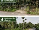 - ขายสวนมังคุดพร้อมบ้านพัก ต.บางนําจืด อ.หลังสวน จ.ชุมพร