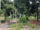 - ขายสวนมังคุดพร้อมบ้านพัก ต.บางนําจืด อ.หลังสวน จ.ชุมพร