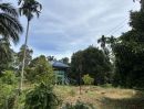 - ขายสวนมังคุดพร้อมบ้านพัก ต.บางนําจืด อ.หลังสวน จ.ชุมพร