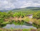  - เจ้าของขายเอง สวนผสมบ่อปลา ไฟฟ้าน้ำประปาพร้อม อ.จอมทอง จ.เชียงใหม่
