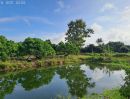  - เจ้าของขายเอง สวนผสมบ่อปลา ไฟฟ้าน้ำประปาพร้อม อ.จอมทอง จ.เชียงใหม่