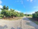  - เจ้าของขายเอง สวนผสมบ่อปลา ไฟฟ้าน้ำประปาพร้อม อ.จอมทอง จ.เชียงใหม่