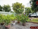 - ขายที่ดินสีแดง แปลงสวย ถนนพระราม 9 ขนาด 266 วา สร้างตึก 8 ชั้นได้ ทำเลศักยภาพ พื้นที่สวย