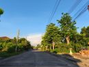 - ที่ดินเปล่าในหมู่บ้าน ไม่มีค่าส่วนกลาง ถมแล้ว เหมาะปลูกบ้าน ออฟฟิศ สวนผัก 50