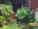  - ขายบ้านสวนที่ตั้งอยู่ในแม่แฝกใหม่ จ.เชียงใหม่ มีบ้านไม้ 5 หลัง ในพื้นที่สวนร่มรื่นกว่า 346 ตารางวา พร้อมสายน้ำธรรมชาติที่เชื่อมกับแม่น้ำปิง