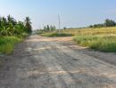 - ที่ดินคลอง 11 อ.หนองเสือ จ.ปทุมธานี เหมาะทำบ้านสวน หรือซื้อเก็บเก็งกำไร