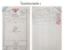  - ที่ดินสวย10ไร่ ติดถนนคอนกรีต เจ้าของขายเอง