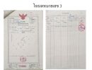 - ที่ดินสวย10ไร่ ติดถนนคอนกรีต เจ้าของขายเอง