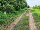 - ขายที่ดิน 150 ตร.ว. บ้านระแหง ถนนปทุมธานี-ลาดหลุมแก้ว ระแหง ลาดหลุมแก้ว ปทุมธานี