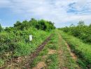 - ขายที่ดิน 150 ตร.ว. บ้านระแหง ถนนปทุมธานี-ลาดหลุมแก้ว ระแหง ลาดหลุมแก้ว ปทุมธานี