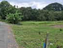  - ที่ดินติดแม่น้ำนครนายก ต.ท่าทราย อ.เมืองนครนายก ทำรีสอร์ต บ้านสวน