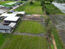  - ที่ดินคลอง 5 ฝั่งตะวันออก คลองหลวง ปทุมธานี แปลงใหญ่ ทำเลน่าสนใจ แบ่งขายไร่ละ 2.1 ล้านบาท