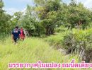  - ที่ดินคลอง 5 คลองหลวง ซอย 30 ทำเลใกล้มอเตอร์เวย์ เพียง 2.5 กม. ราคาเริ่มต้น 1.75 ล้านบาท