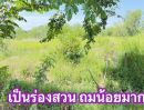  - ที่ดินคลอง 5 คลองหลวง ซอย 30 ทำเลใกล้มอเตอร์เวย์ เพียง 2.5 กม. ราคาเริ่มต้น 1.75 ล้านบาท