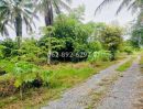 - ขายที่ดิน ต.จรเข้สามพัน อ.อู่ทอง จ.สุพรรณบุรี ที่สวย ขนาด 4 ไร่ ที่สวน ทำเลดี พิเศษ320,000 บาท/ไร่ (ราคา 1,280,000 บาทเท่านั้น!)