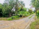 - ขายที่ดิน ต.จรเข้สามพัน อ.อู่ทอง จ.สุพรรณบุรี ที่สวย ขนาด 4 ไร่ ที่สวน ทำเลดี พิเศษ320,000 บาท/ไร่ (ราคา 1,280,000 บาทเท่านั้น!)