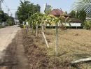 - ขายที่ดินถมแล้ว 200 ตรว.Opp.Centralแจ้งวัฒนะ แจ้งวัฒนะ-ปากเกร็ด 23 ใกล้รถไฟฟ้าสายสีชมพู