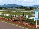 - ขายที่ดิน 200 ตร.ว. วังไทร ปากช่อง ใกล้มายโอโซน 3.3 กม. วิวเขา 1.78 ล้าน โครงการ Monterra ฟรีค่าโอน