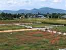- ขายที่ดิน 200 ตร.ว. วังไทร ปากช่อง ใกล้มายโอโซน 3.3 กม. วิวเขา 1.78 ล้าน โครงการ Monterra ฟรีค่าโอน