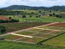 - ขายที่ดิน 200 ตร.ว. วังไทร ปากช่อง ใกล้มายโอโซน 3.3 กม. วิวเขา 1.78 ล้าน โครงการ Monterra ฟรีค่าโอน