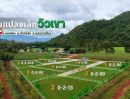- ขายที่ดินวิวเขา 270 องศา ขนงพระ ปากช่อง 200 ตร.ว. 1.65 ล้าน สูง 460 ม. เจ้าของขายเอง ฟรีค่าโอน