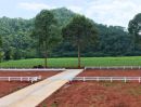 - ขายที่ดินวิวเขา 270 องศา ขนงพระ ปากช่อง 200 ตร.ว. 1.65 ล้าน สูง 460 ม. เจ้าของขายเอง ฟรีค่าโอน
