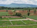 - ขายที่ดินวิวเขา 180 องศา คลองม่วง ปากช่อง 164 ตร.ว. 1.23 ล้าน ใกล้ถนน 3060 น้ำไฟพร้อม ฟรีค่าโอน