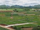 - ขายที่ดินวิวเขา 180 องศา คลองม่วง ปากช่อง 164 ตร.ว. 1.23 ล้าน ใกล้ถนน 3060 น้ำไฟพร้อม ฟรีค่าโอน