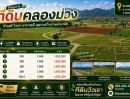 - ขายที่ดินวิวเขา 180 องศา คลองม่วง ปากช่อง 164 ตร.ว. 1.23 ล้าน ใกล้ถนน 3060 น้ำไฟพร้อม ฟรีค่าโอน
