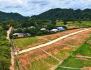 - ขายที่ดินวิวเขา 270 องศา Sierra Highland Khao Yai คลองม่วง ปากช่อง 222 ตร.ว. 1.66 ล้าน สูง 520 ม. ฟรีค่าโอน
