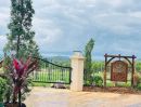 - ขายที่ดินวิวเขา 270 องศา Sierra Highland Khao Yai คลองม่วง ปากช่อง 222 ตร.ว. 1.66 ล้าน สูง 520 ม. ฟรีค่าโอน