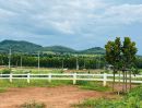 - ขายที่ดินวิวเขา 270 องศา Sierra Highland Khao Yai คลองม่วง ปากช่อง 222 ตร.ว. 1.66 ล้าน สูง 520 ม. ฟรีค่าโอน