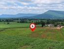 - ขายที่ดินวิวเขา 15 ไร่ หลัง Tayama Farm คลองม่วง ปากช่อง ขายยกแปลง 14.25 ล้าน โฉนดครุฑแดง ฟรีค่าโอน